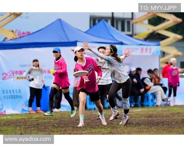 广州飞盘队近期状态分析与表现评估全面解读