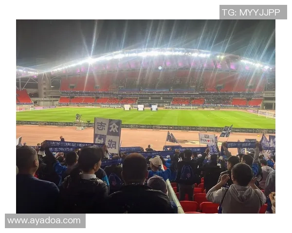 武汉飞盘队比赛经验引发热议球迷与专家观点碰撞激烈