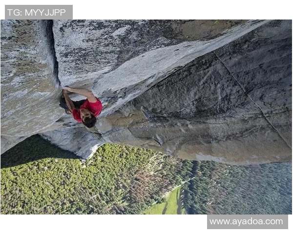 攀岩战术解析：深入探讨上海攀岩队的战术控制与团队协作体系